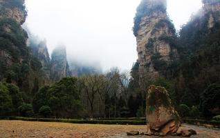 Zhangjiajie Tourism is a pure forest in the spring 