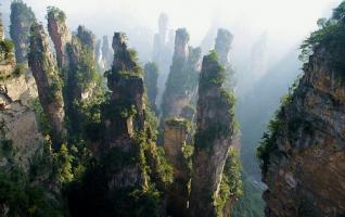 Zhangjiajie List in"Top 10 Cities with the Highest Forest Coverage" 