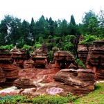 Red Stone Forest 1