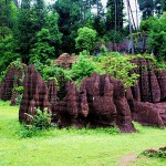 Red Stone Forest 3