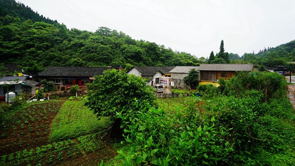 Dingxiangrong village