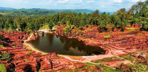Red Stone Forest3