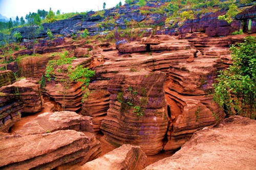 Red Stone Forest